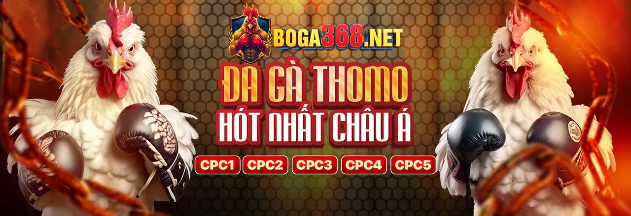 Sân đấu Đá Gà trực tuyến VN66