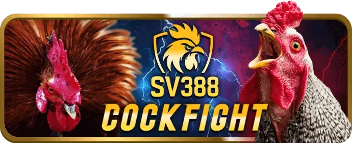 Các loại Cookie mà VN66 sử dụng để tối ưu trải nghiệm cá cược trực tuyến